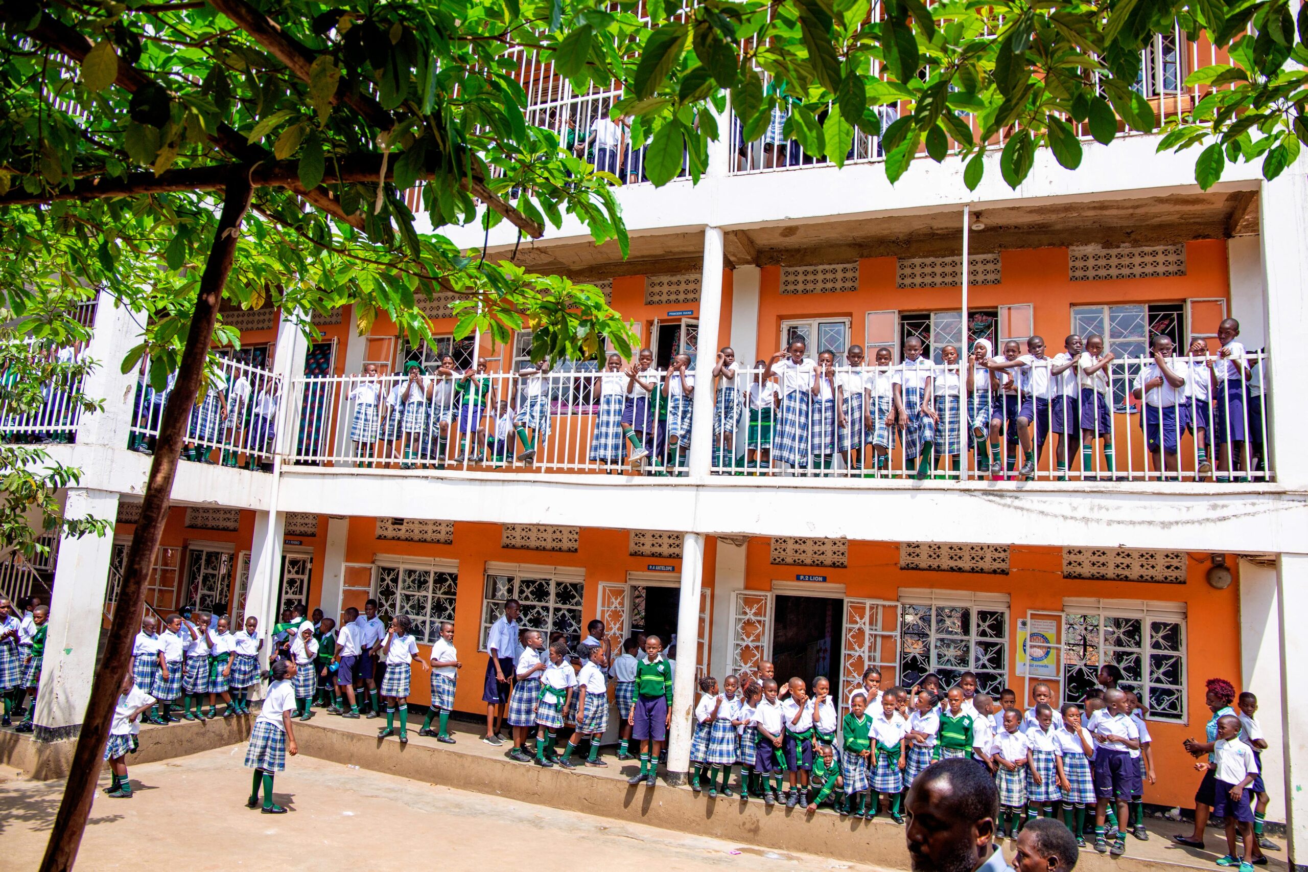 WhatsApp Image 2025-12-26 at 09.48.51